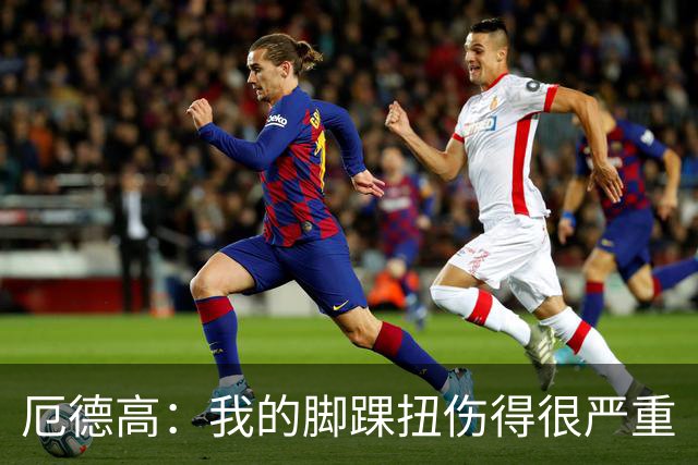 厄德高：我的脚踝扭伤得很严重